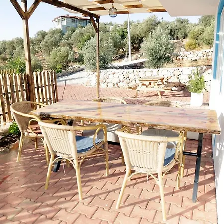 Uzum Iskelesi Apart Apartment