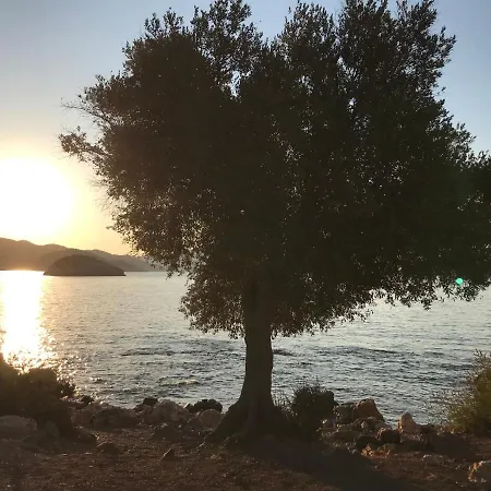 Apartment Uzum Iskelesi Apart Kaş